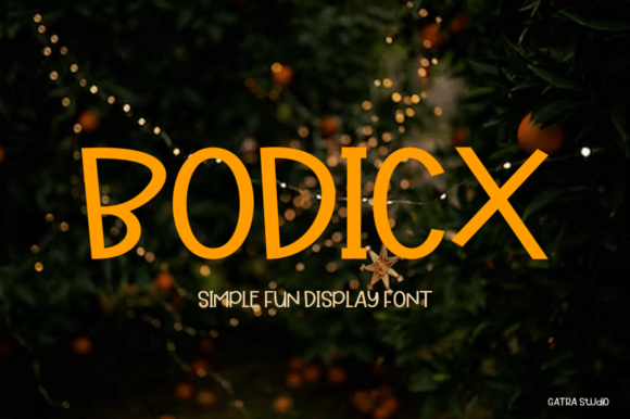 Bodicx: A Modern and Fun Display Font for Creative Expression