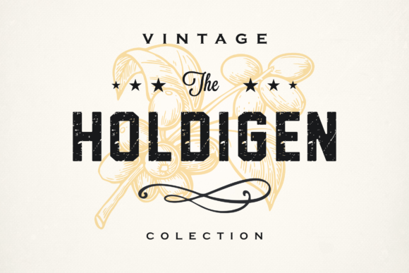 Holdigen: A Bold and Versatile Display Font for Modern Design